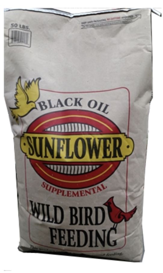 Black Oil Sunflower Wild Bird Seed - 50lb